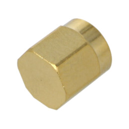 Accesorii: capac protecţie; lănţişor; aurit; IP67