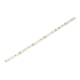 Bandă LED; alb cald; 2835; LED/m: 60; 10mm; IP33; 120°; 12W/m; 12VDC