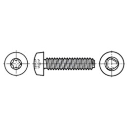 Şurub; pt.metal; 5x30; Cap: cap rotund; Torx®; TX25; oţel; zinc
