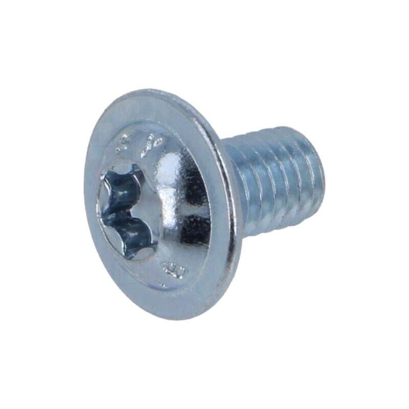 Şurub; cu flanşă; M6x10; 1; Cap: buton; Torx®; TX30; oţel; zinc Şurub; cu flanşă; M6x10; 1; Cap: buton; Torx®; TX30; oţel; zinc