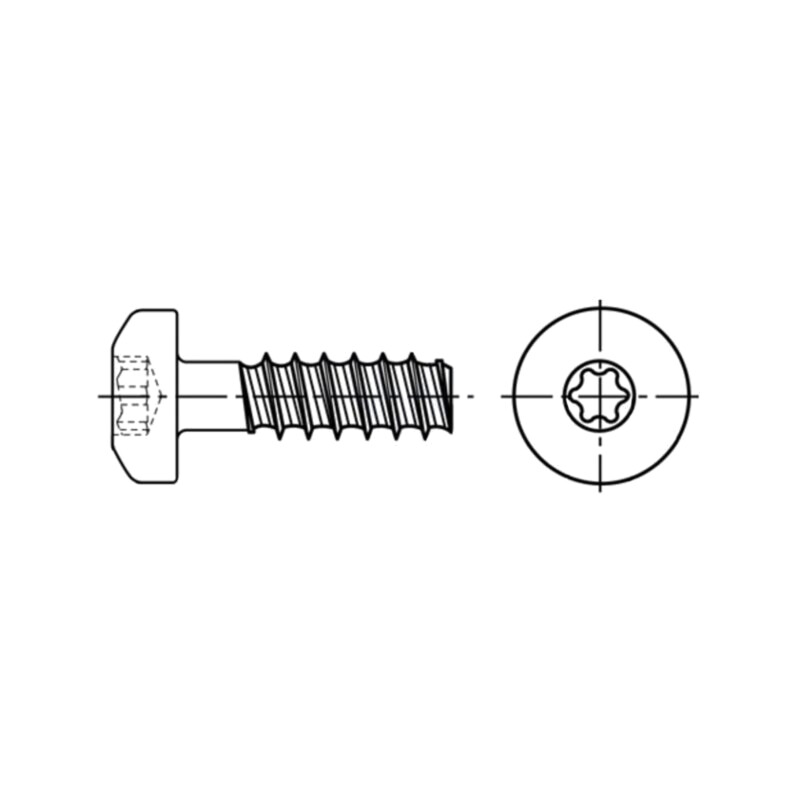 Şurub; pt.plastic; 2,5x8; Cap: cap rotund; Torx® PLUS; 8IP
