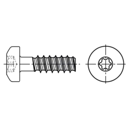 Şurub; pt.plastic; 2,5x8; Cap: cap rotund; Torx® PLUS; 8IP