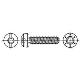 Şurub; pt.metal; 3x8; Cap: cap rotund; crestat,Torx®; TX10,0,6mm