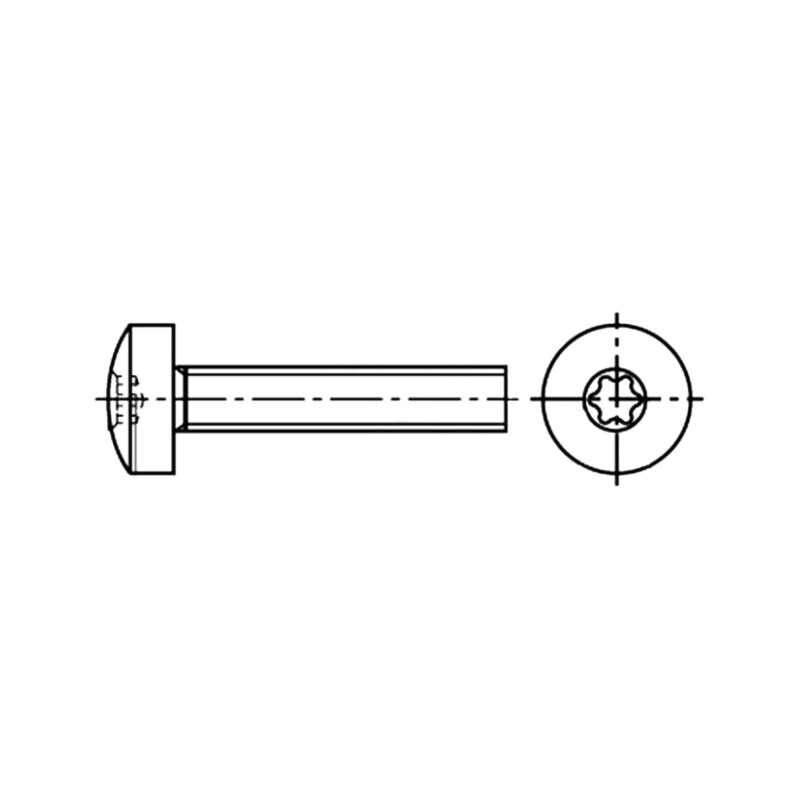 Şurub; M3x5; 0,5; Cap: cap rotund; Torx®; TX10; oţel; zinc; ISO 14583