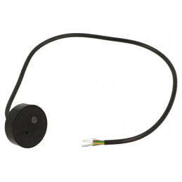 Cititor RFID 12V cu LED și Buzer | Electronic-mag.ro | Componente Electronice