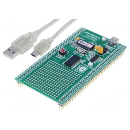 Placă de Expansiune USB B pentru MikroBoard cu CY8C27643 | Electronic-mag.ro | Componente Electronice