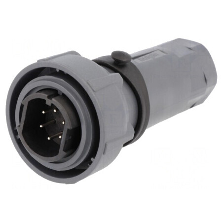 Conector circular mufă tată 6 pini nichelat Buccaneer 7000 | Electronic-mag.ro | Componente Electronice