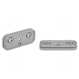 Placă de sucțiune pentru bloc de vacuum 120x50x15.5 mm | Electronic-mag.ro | Componente Electronice