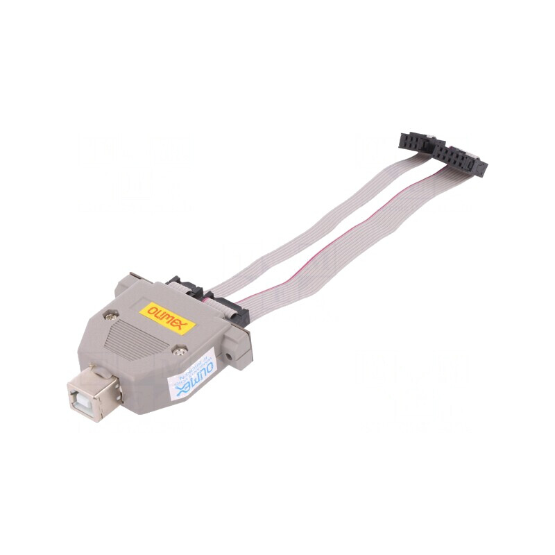 Programator AVR USB ISP x2 45x30mm | Electronic-mag.ro | Componente Electronice
