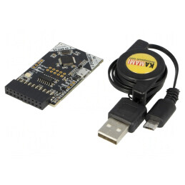 Programator USB pentru Microcontrolere ARM 1,65-3,6VDC | Electronic-mag.ro | Componente Electronice