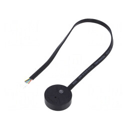 Cititor RFID 12V cu Buzer și Indicator LED | Electronic-mag.ro | Componente Electronice