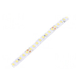 Bandă LED alb rece 24V 8mm IP20 120° 13W/m | Electronic-mag.ro | Componente Electronice