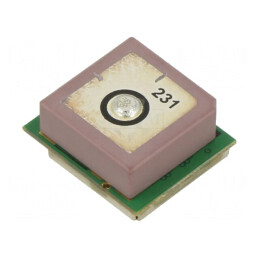 Modul GPS Multi-Sistem YIC31513PGMGG | Electronic-mag.ro | Componente Electronice