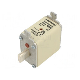 Siguranță NH00 gG 100A 690VAC 250VDC | Electronic-mag.ro | Componente Electronice