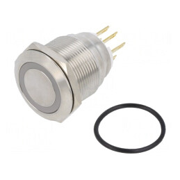 Comutator Anti-Vandalism 2 Poz SPDT 3A/220VAC 5A/24VDC IP65 | Electronic-mag.ro | Componente Electronice