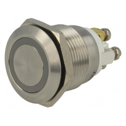 Comutator Anti-Vandalism 2 SPST-NO 2A 36VDC IP65 Ø19mm DUAL LED 12V | Electronic-mag.ro | Componente Electronice