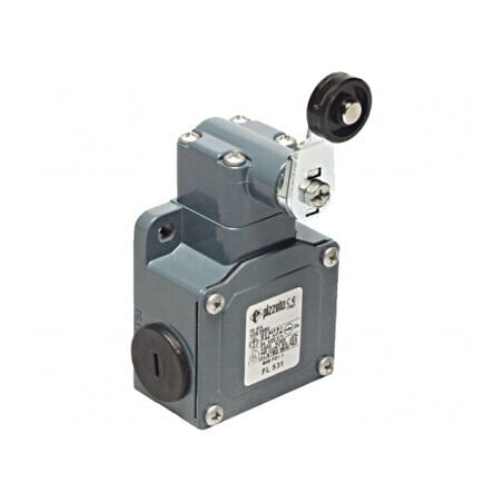 Limitator Cursă Manetă 40mm cu Rola Plastic 20mm 10A | Electronic-mag.ro | Componente Electronice