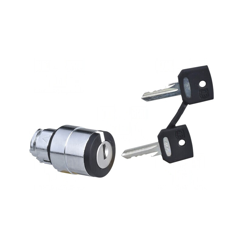 Comutator Rotativ cu Cheie 22mm Negru 2 Poziții | Electronic-mag.ro | Componente Electronice