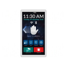Afișaj TFT 5" 480x854 cu Interfață RS485 | Electronic-mag.ro | Componente Electronice