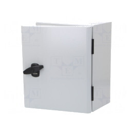 Carcasă otel IP66 montare perete 250x300x150mm | Electronic-mag.ro | Componente Electronice