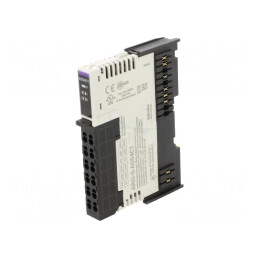 Modul Ieşiri Analogice 24VDC IP20 4 Canale ARIO | Electronic-mag.ro | Componente Electronice