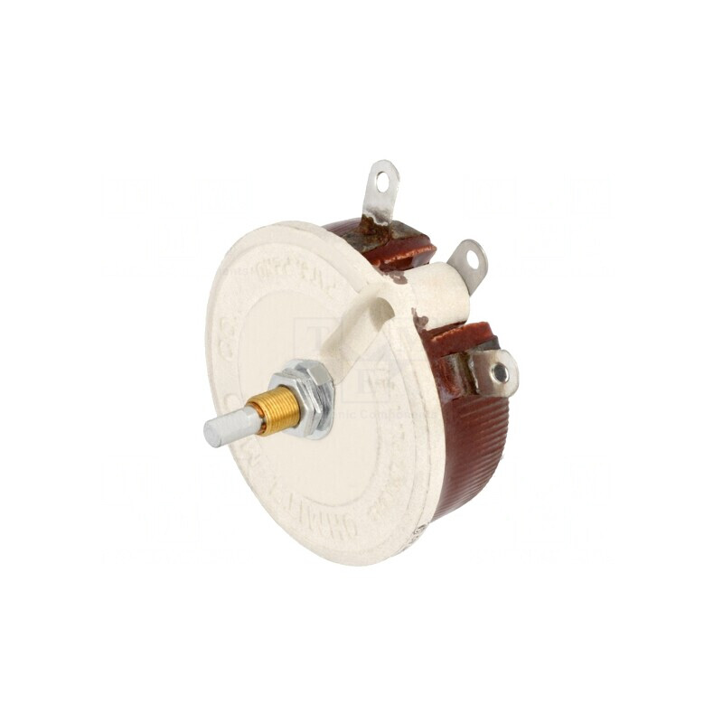 Potentiometru Axial 25Ω 100W 6,35mm | Electronic-mag.ro | Componente Electronice
