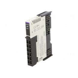 Ieşiri Analogice 24VDC IP20 ARIO 2 Canale | Electronic-mag.ro | Componente Electronice