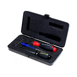 Kit Capete Șurubelniță Dinamometrică 10 Bucăți | Electronic-mag.ro | Componente Electronice