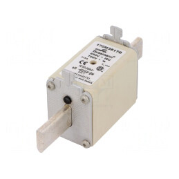 Siguranță ardere rapidă 315A 690VAC NH1 | Electronic-mag.ro | Componente Electronice