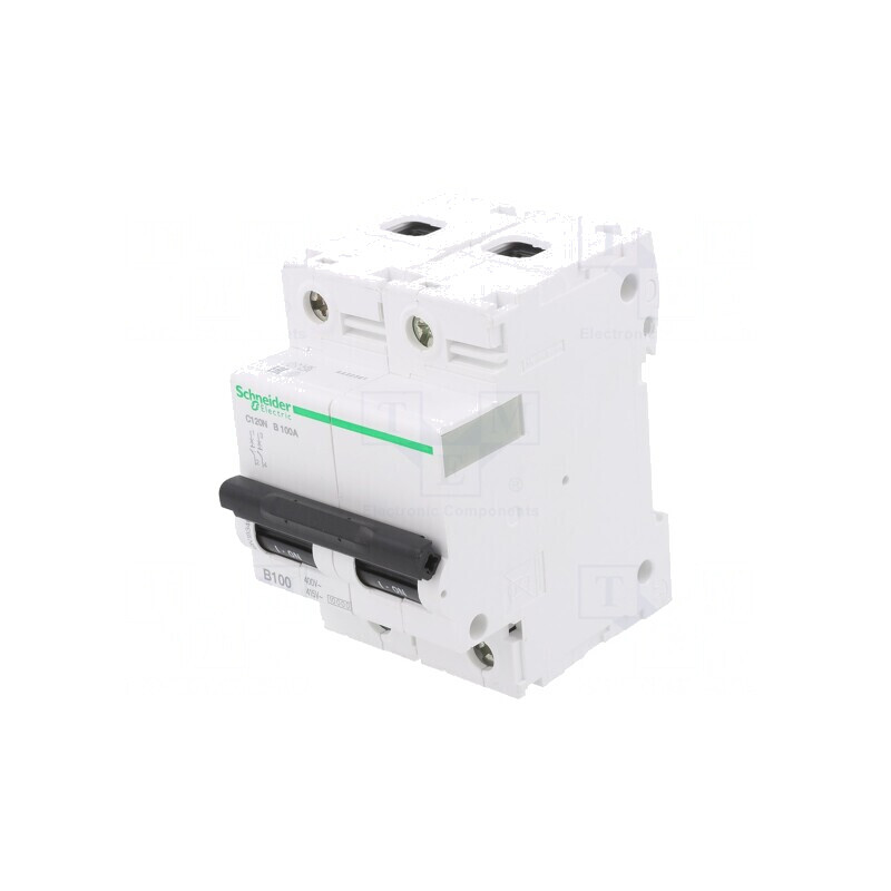 Întrerupător Supracurent 125A 2 Poli 10kA 230/400V | Electronic-mag.ro | Componente Electronice