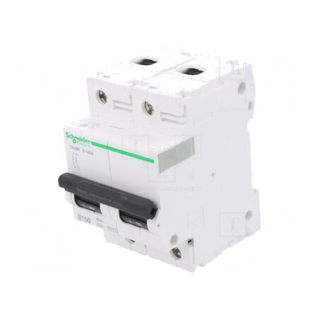 Întrerupător Supracurent 125A 2 Poli 10kA 230/400V | Electronic-mag.ro | Componente Electronice