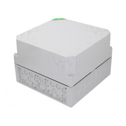 Carcasă: cutie de conexiuni | X: 300mm | Y: 300mm | Z: 209mm | IP65 | gri | 74390201