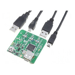 Kituri de Dezvoltare Microchip PIC32MX450F256L | Electronic-mag.ro | Componente Electronice