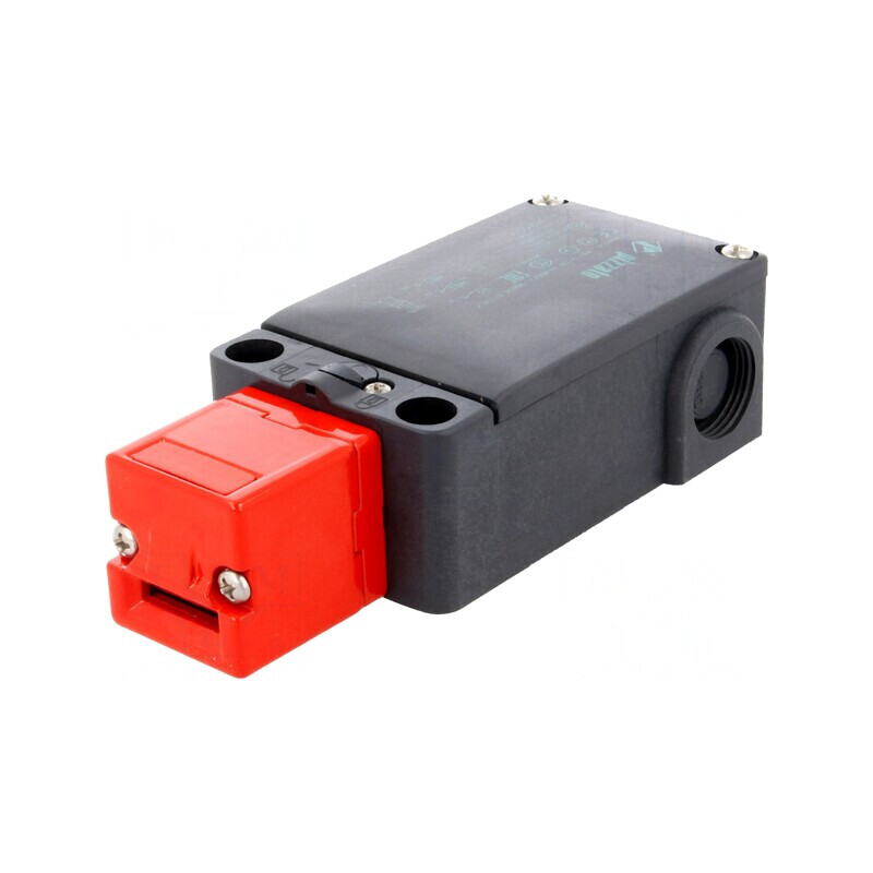 Întrerupător de Siguranță cu Blocare IP66 Plastic | Electronic-mag.ro | Componente Electronice