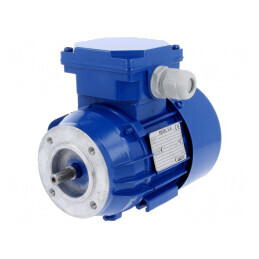 Motor AC Trifazat 0.06kW 230/400V 1400rpm IP54 | Electronic-mag.ro | Componente Electronice