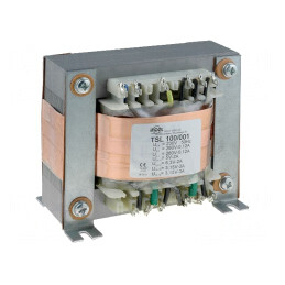 Transformator de Alimentare 230V 260V 3,15V 5V TSL 100/001 | Electronic-mag.ro | Componente Electronice