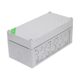 Carcasă de Conexiuni IP65 Gri 150x300x132mm | Electronic-mag.ro | Componente Electronice