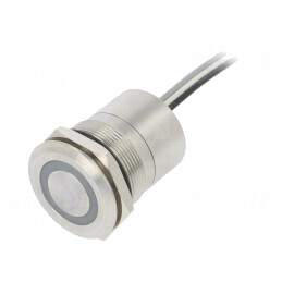 Comutator Capacitiv SPST-NO 12V IP68 OFF-ON