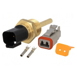 Senzor Temperatură Pt1000 Clasa B 50mm DT04-2P | Electronic-mag.ro | Componente Electronice