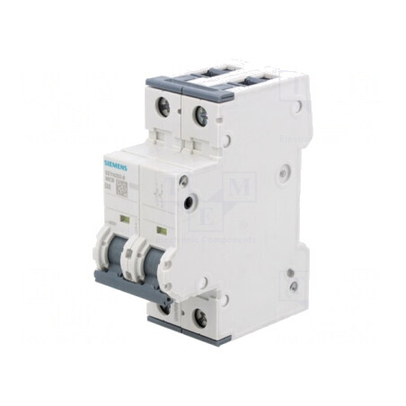Întrerupător de Supracurent 2A 2 Poli 230/400VAC 10kA | Electronic-mag.ro | Componente Electronice
