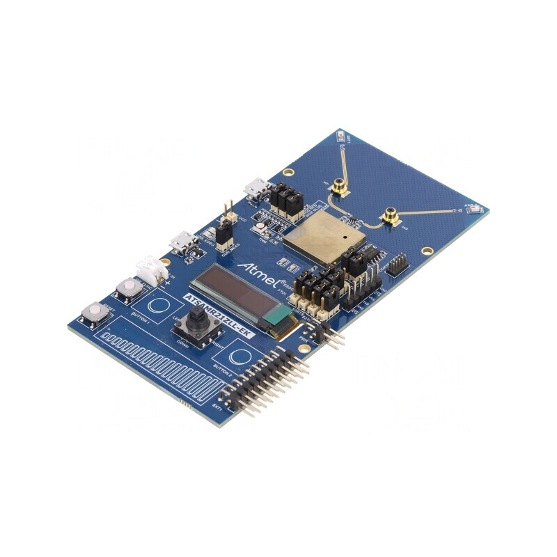 Kit Dezvoltare Microchip ARM SAMR21 | Electronic-mag.ro | Componente Electronice
