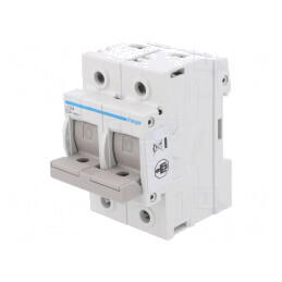 Separator cu Fuzibil 63A 400V pentru Șină DIN Poli 2 | Electronic-mag.ro | Componente Electronice
