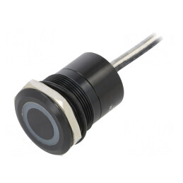 Comutator Capacitiv ON-OFF IP68 12V | Electronic-mag.ro | Componente Electronice