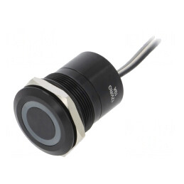 Comutator Capacitiv SPST-NC 0.01A 12V IP68