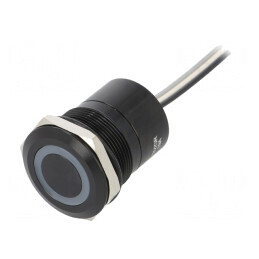 Comutator Capacitiv ON-OFF IP68 12V | Electronic-mag.ro | Componente Electronice
