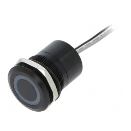 Comutator Capacitiv IP68 OFF-ON 12V | Electronic-mag.ro | Componente Electronice
