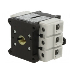 TeSys VARIO 3-Pole 63A Switch Disconnector | Electronic-mag.ro | Componente Electronice