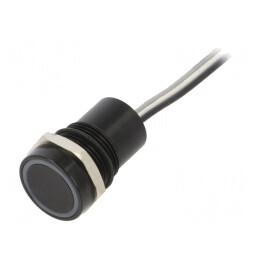 Comutator Capacitiv 2 Poz SPST-NO 0.01A 12VDC IP68 | Electronic-mag.ro | Componente Electronice