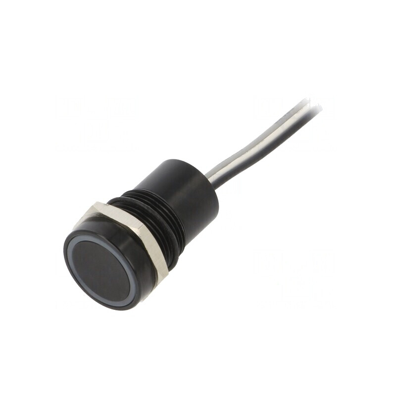 Comutator Capacitiv 2 Poz SPST-NO 0.01A 12VDC IP68 | Electronic-mag.ro | Componente Electronice