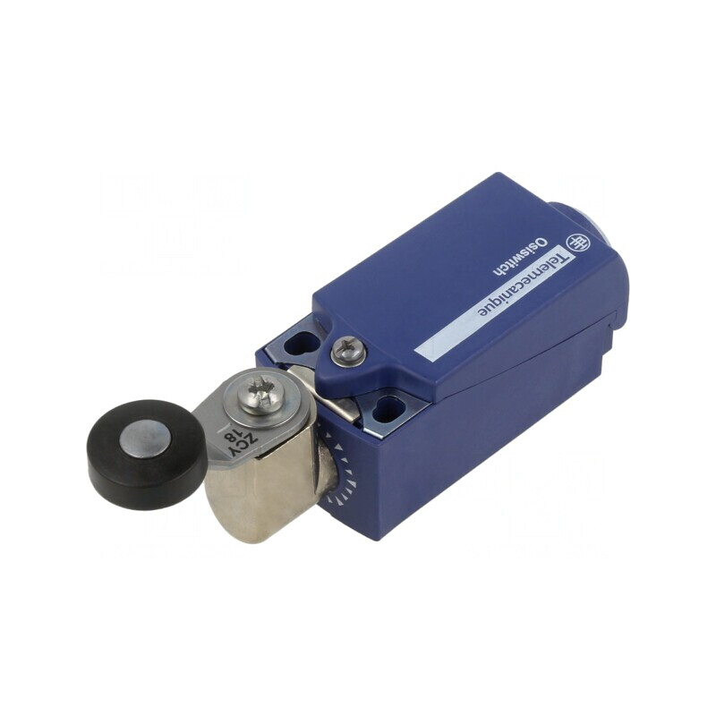 Limitator Cursă Manetă cu Rulou Plastic 33mm Ø19mm NO x2 | Electronic-mag.ro | Componente Electronice
